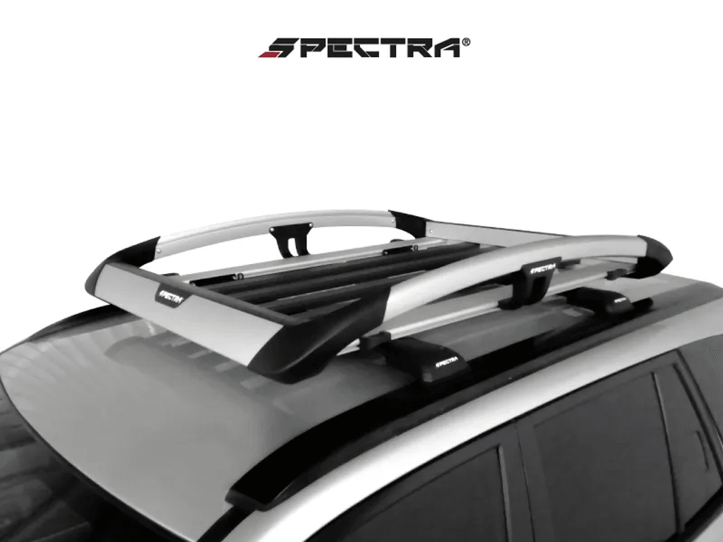Canasta Universal Sport L de Aluminio (159 cm x 99 cm), Color gris, Spectra (Incluyen instalació